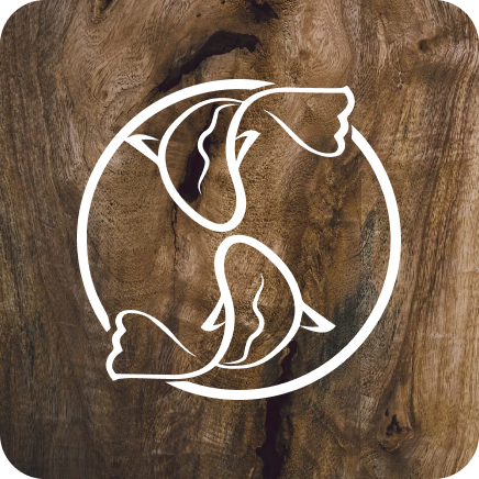 South Side Sushi - Restaurant Mandelieu-la-napoule - meilleur restaurant MANDELIEU-LA-NAPOULE